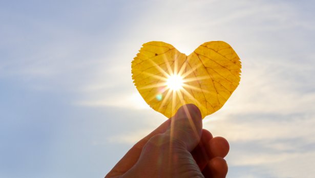 Istockphoto