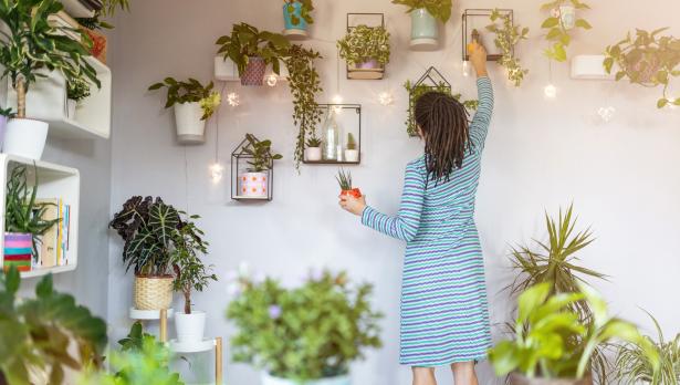 IStockphoto