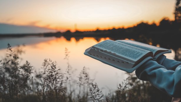 Снимка: Istock