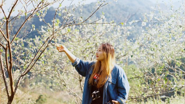 Снимка: Hà Nguyễn, Pexels