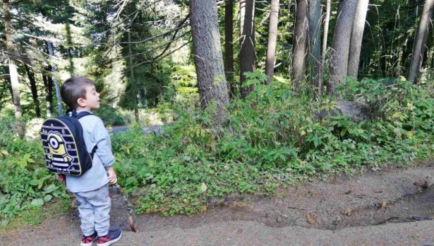 Уикенд дестинация: С деца на Витоша