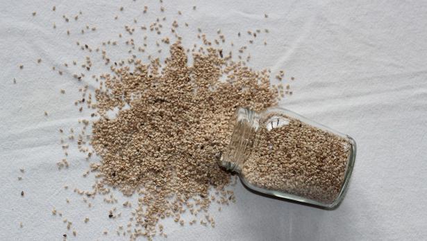 Снимка: Pixabay