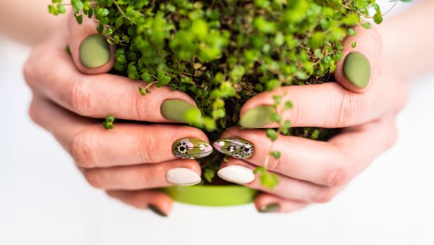 Снимка: iStock