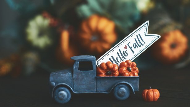 Снимка: iStock