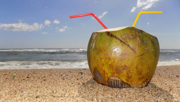 Снимка: Pixabay