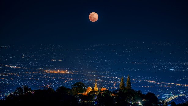 Снимка: Istock