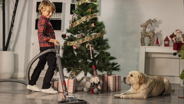 Снимка: iStock