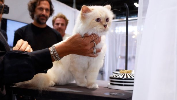 Снимка: Getty Images