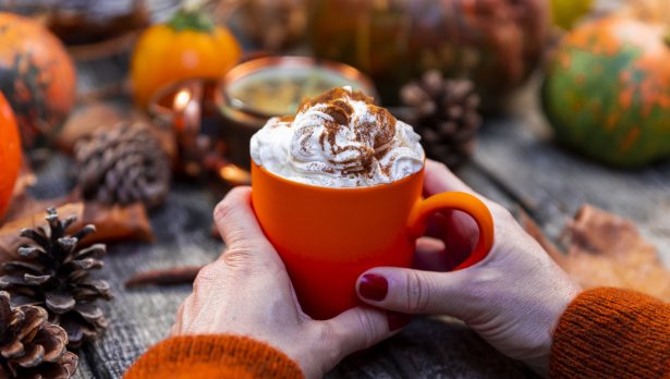 Снимка: IStock 