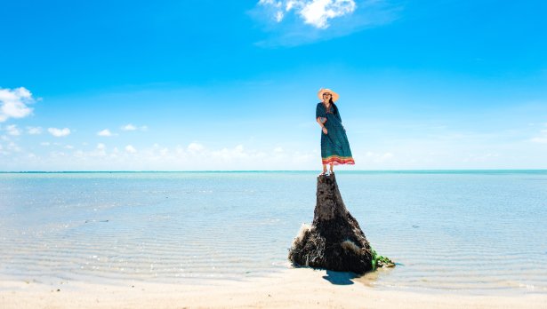 Снимка: 木莲 杨, Pexels