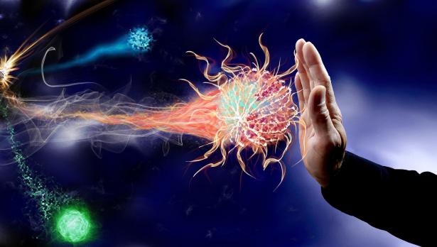 Снимка: Pixabay