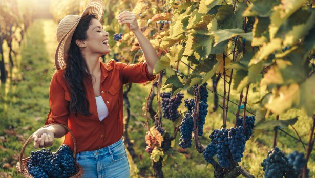 Снимка: iStock