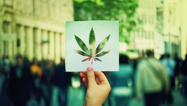 CBD експанзия по света и у нас – какво трябва да знаем за канабидиола