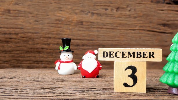 Снимка: iStock