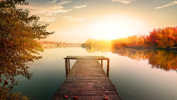 Снимка: Istock