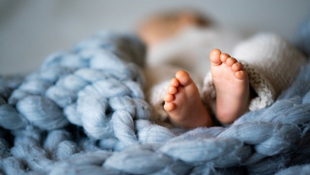 Снимка: IStock 