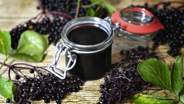 Снимка: Pixabay