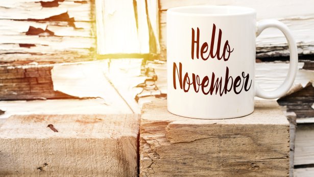 Снимка: iStock