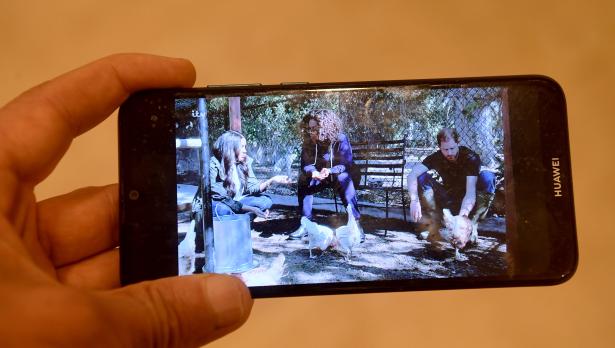 Снимка: БГНЕС