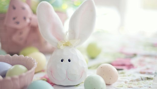 Снимка: Jill Wellington, Pexels