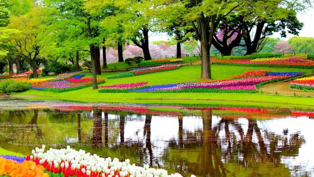 Снимка: Pixabay