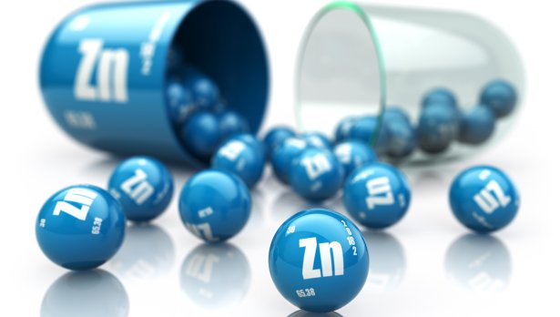 Снимка: iStock