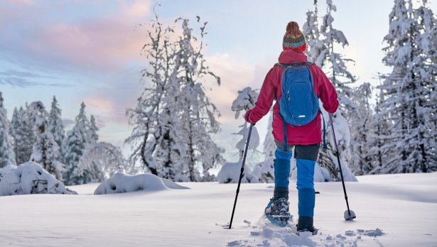 Снимка: iStock
