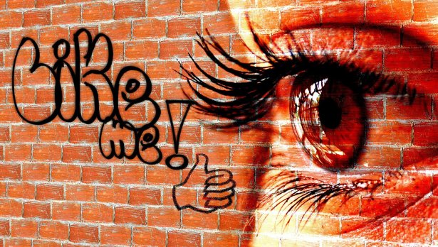 Снимка: Pixabay