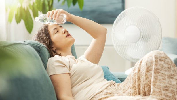 Снимка: iStock