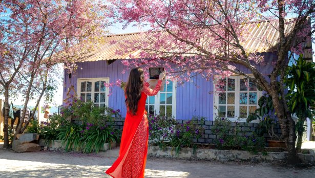 Снимка: Quang Nguyen Vinh, Pexels