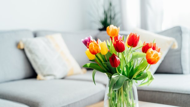 Снимка: IStock