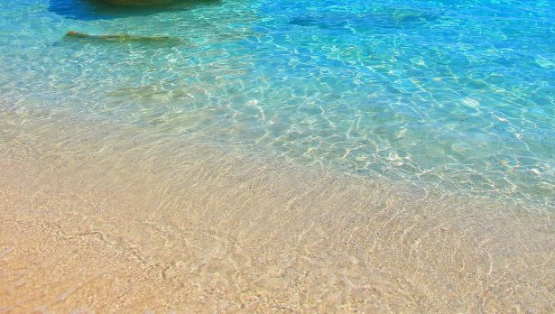 Снимка: Pixabay