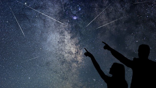 Снимка: Istock