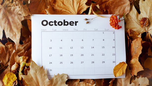 Снимка: Istock