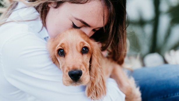 Снимка: Istockphoto