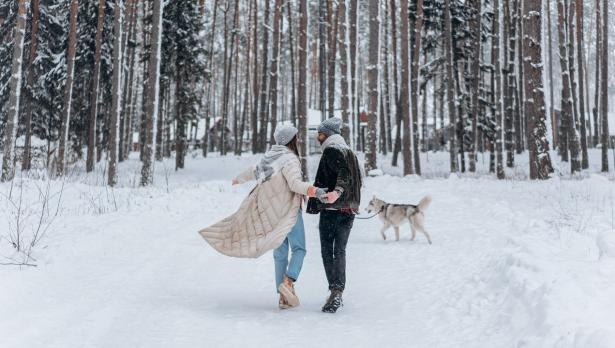 Снимка: Pexels