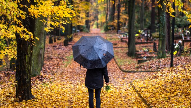 Снимка: iStock