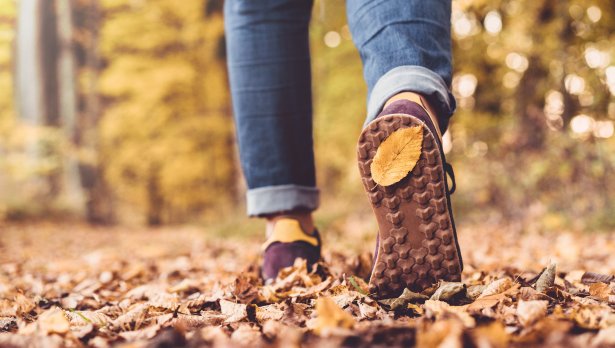 Снимка: Istock