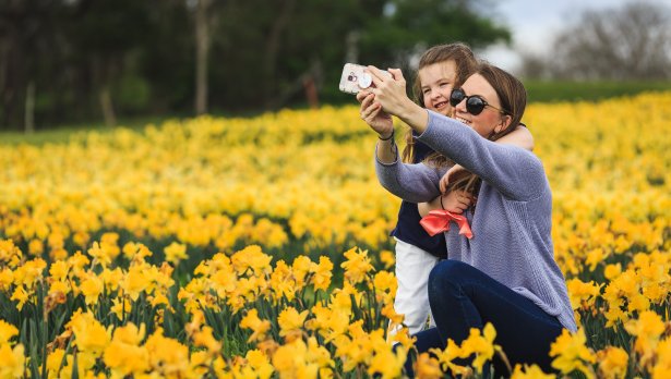 Снимка:  Michael Morse, Pexels