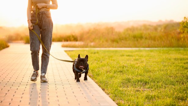 Снимка: Istock