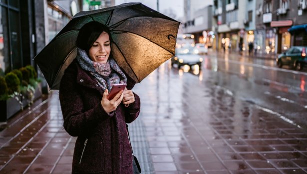 Снимка: iStock