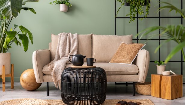 Снимка: iStock