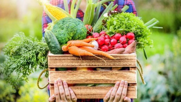 Снимка: iStock