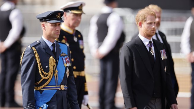 Принцовете Хари и Уилям най-накрая се обединиха