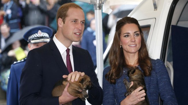 Кралски новини – какво ще правят принц Уилям и Кейт Мидълтън със своите кучета