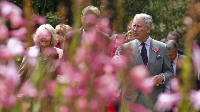 Крал Чарлз с парфюм, вдъхновен от цветята в градината му 