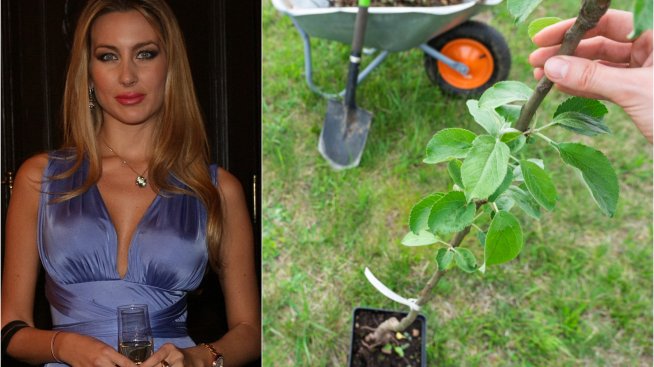 Антония Батинкова засади дърво за специален повод