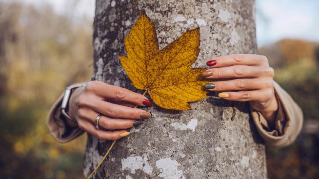 Закачливи, шик и ретро – маникюрите за есен 2025