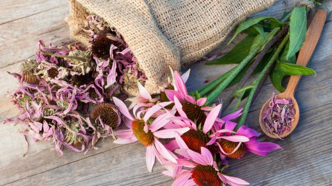 10 естествени антибиотика от природата 