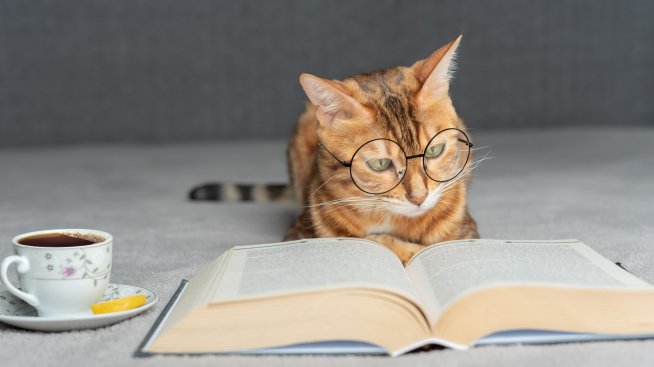 Защо четенето на книги е полезно за здравето